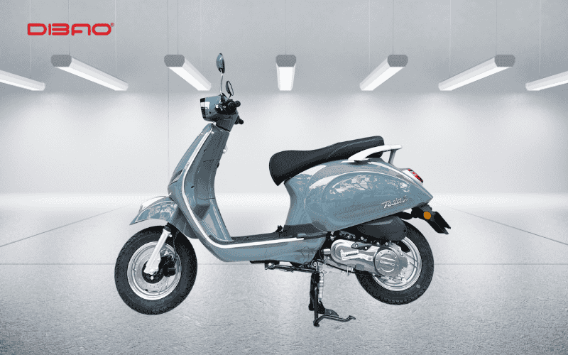 xe tay ga DIBAO Tesla X1